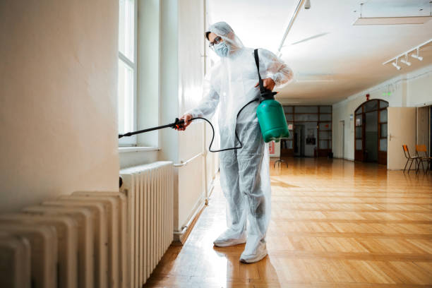 Best Flea Control Services  in Bennett, CO
